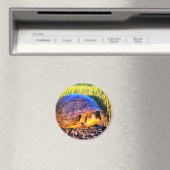 MAGNET DE TORTUE (In Situ (Lave-vaisselle))