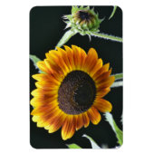 Magnet de tournesol (Vertical)