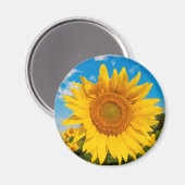 Magnet de tournesol (Recto/Verso)