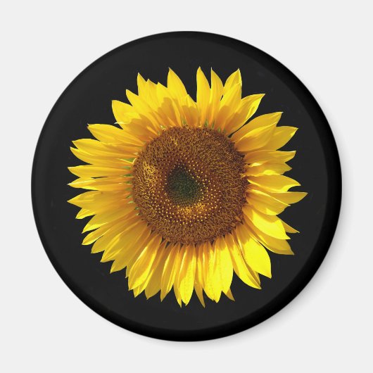 Magnet de tournesol (Devant)