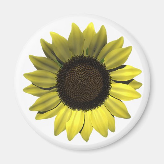 Magnet de tournesol (Devant)