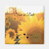 Magnet de tournesol (Devant)