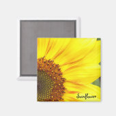 Magnet de tournesol (Recto/Verso)