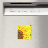 Magnet de tournesol (In Situ (Lave-vaisselle))