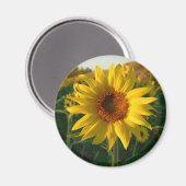 Magnet de tournesol ensoleillé (Recto/Verso)