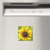 Magnet de tournesol jaune (In Situ (Lave-vaisselle))