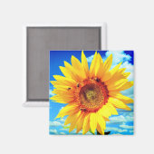 Magnet de tournesol jaune (Recto/Verso)