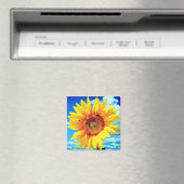 Magnet de tournesol jaune (In Situ (Lave-vaisselle))
