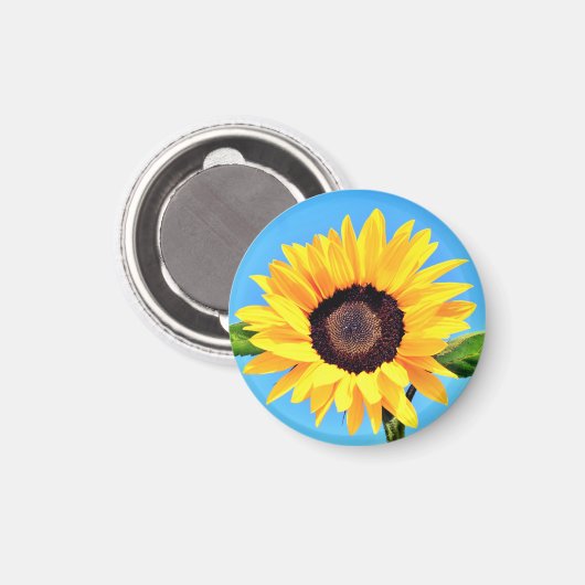 Magnet de tournesol jaune (Recto/Verso)