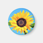 Magnet de tournesol jaune (Devant)