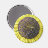 Magnet de tournesol jaune (Recto/Verso)
