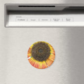Magnet de tournesol orange (In Situ (Lave-vaisselle))
