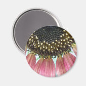 Magnet de tournesol rose (Recto/Verso)
