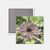 Magnet de tournesol violet unique (Recto/Verso)
