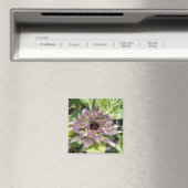 Magnet de tournesol violet unique (In Situ (Lave-vaisselle))