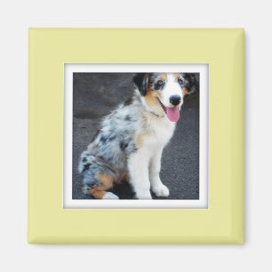 Magnet de trame photo personnalisable