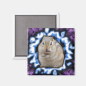 Magnet de Tripmunk (Recto/Verso)