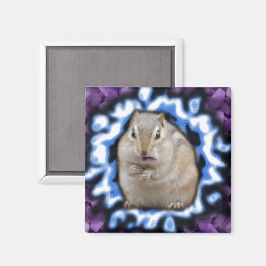 Magnet de Tripmunk (Recto/Verso)