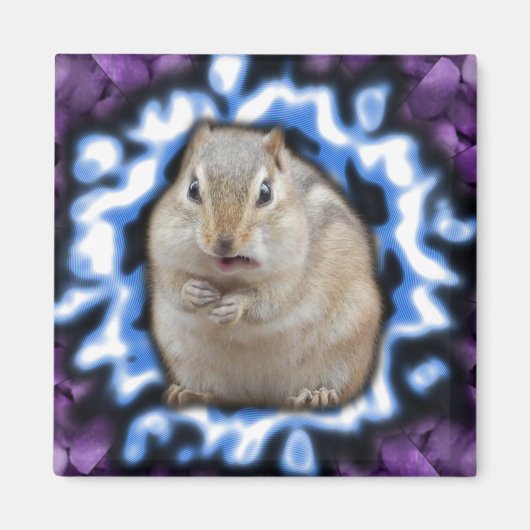 Magnet de Tripmunk (Devant)