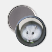 Magnet de tube de hamster (Recto/Verso)