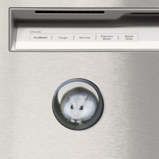 Magnet de tube de hamster (In Situ (Lave-vaisselle))