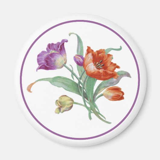 Magnet de tulipe (Devant)