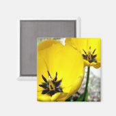 Magnet de tulipe jaune (Recto/Verso)