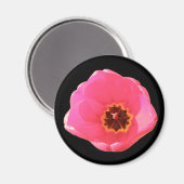 Magnet de tulipe rose (Recto/Verso)