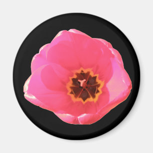 Magnet de tulipe rose