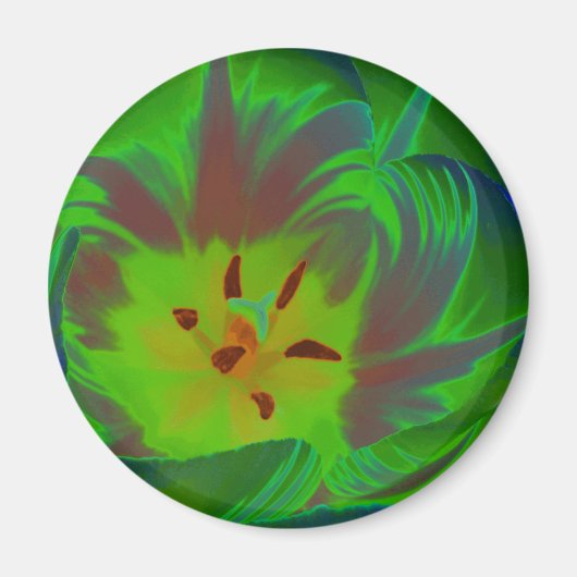 Magnet de tulipe verte mystique (Devant)