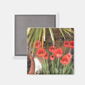 Magnet de tulipes (Recto/Verso)