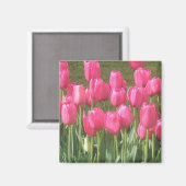 Magnet de tulipes roses (Recto/Verso)