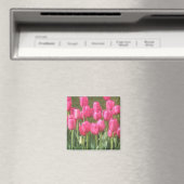 Magnet de tulipes roses (In Situ (Lave-vaisselle))
