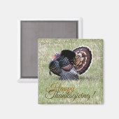 Magnet de Turquie sauvage bon thanksgiving (Recto/Verso)