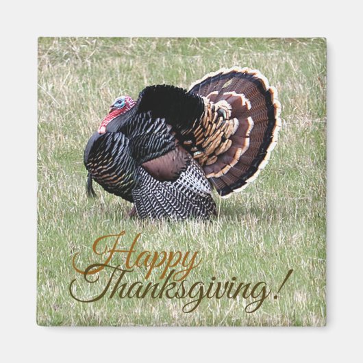Magnet de Turquie sauvage bon thanksgiving (Devant)