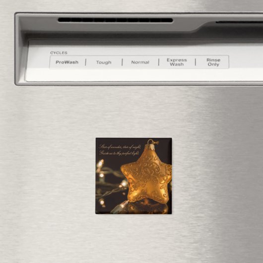 Magnet de vacances 2014 (In Situ (Lave-vaisselle))