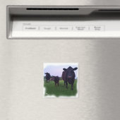 MAGNET DE VACHES ! (In Situ (Lave-vaisselle))