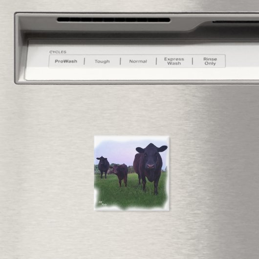 MAGNET DE VACHES ! (In Situ (Lave-vaisselle))