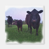 MAGNET DE VACHES ! (Devant)