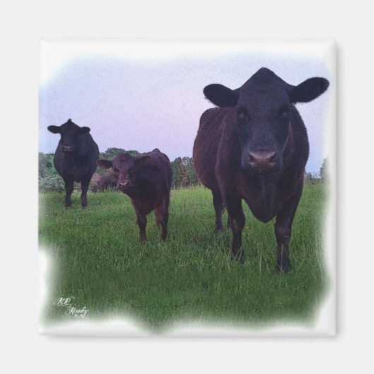 MAGNET DE VACHES ! (Devant)