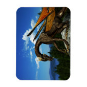 Magnet de vinyle du lac View (Vertical)