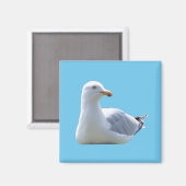 Magnet de voiture Carré Seagull (Recto/Verso)
