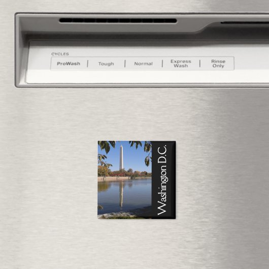 Magnet de Washington DC (In Situ (Lave-vaisselle))