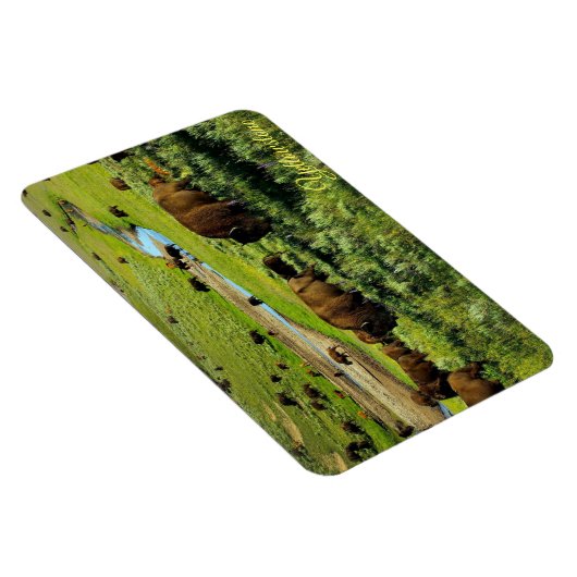 Magnet de Yellowstone (Côté Droit)