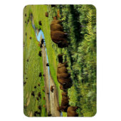 Magnet de Yellowstone (Vertical)