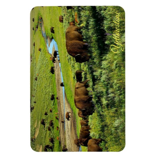 Magnet de Yellowstone (Vertical)