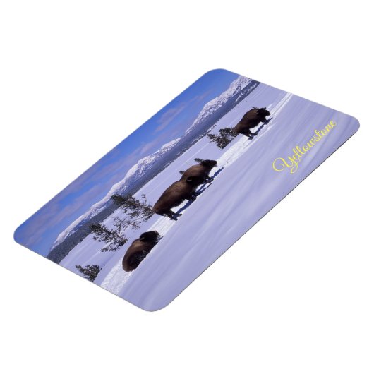 Magnet de Yellowstone (Côté Gauche)