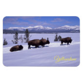Magnet de Yellowstone (Horizontal)