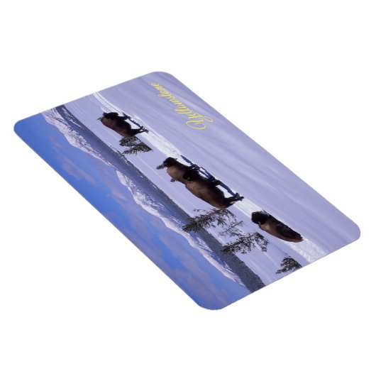 Magnet de Yellowstone (Côté Droit)