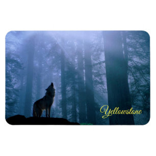 Magnet de Yellowstone